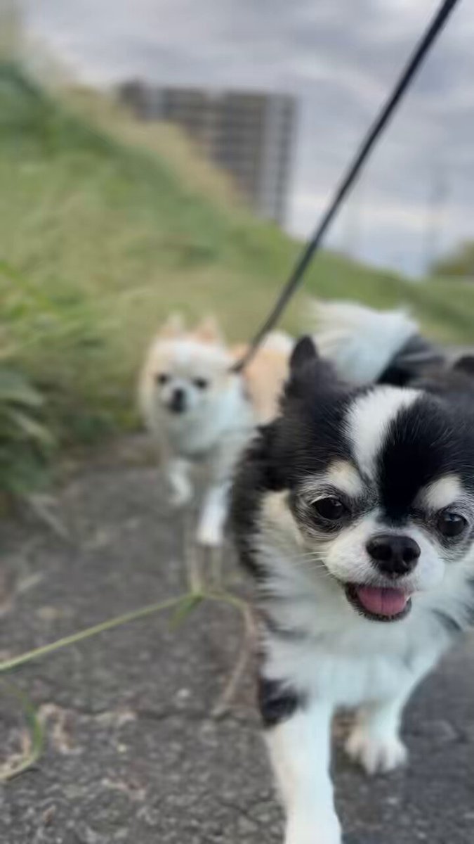 ドローンファンタジー on X