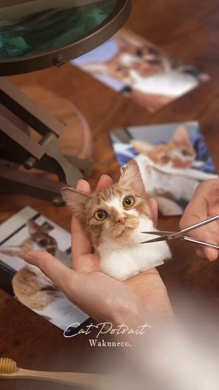 ♡必ず最後までプロフのご確認を♡♡　うちの子オーダー♡羊毛フェルト♪ Wakuneco. わくねこ羊毛フェルト on X: 