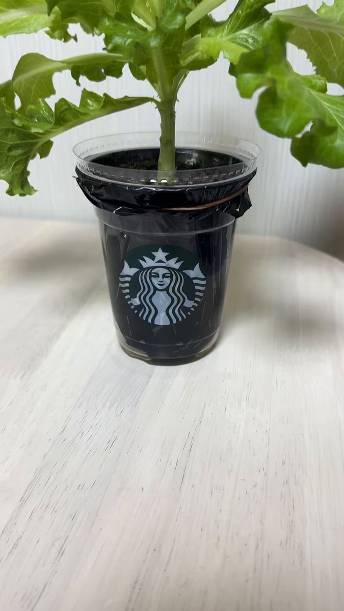 スーパー - অনুসন্ধান / X