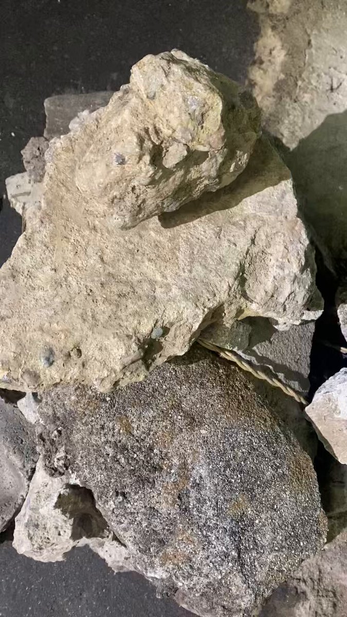 YUKI KUROYANAGI (@yukinaco05) / Posts / X