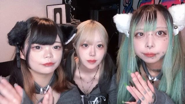 ノラ猫でも愛してくれますか？のツイート