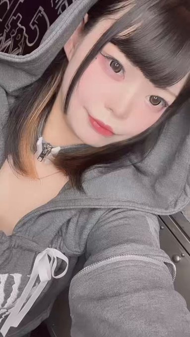 ノラ猫でも愛してくれますか？のツイート