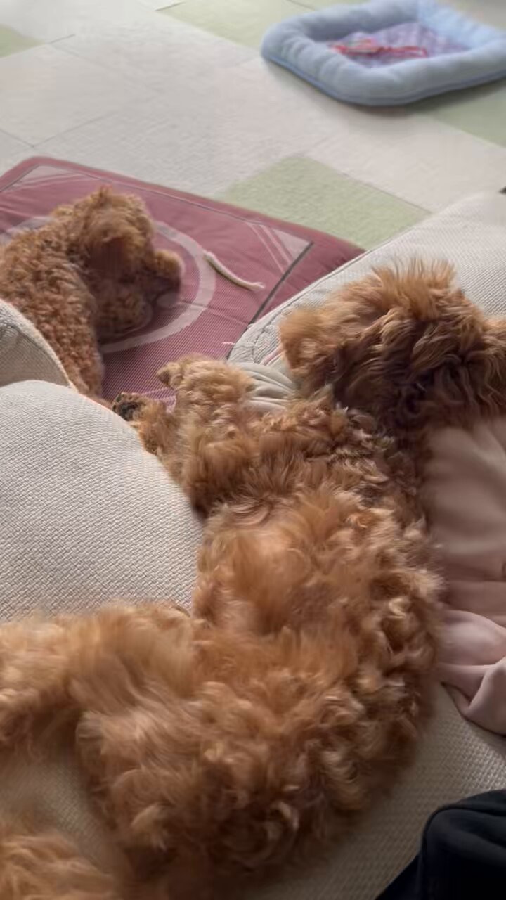 かずちゃん (@kazu13chan) / X