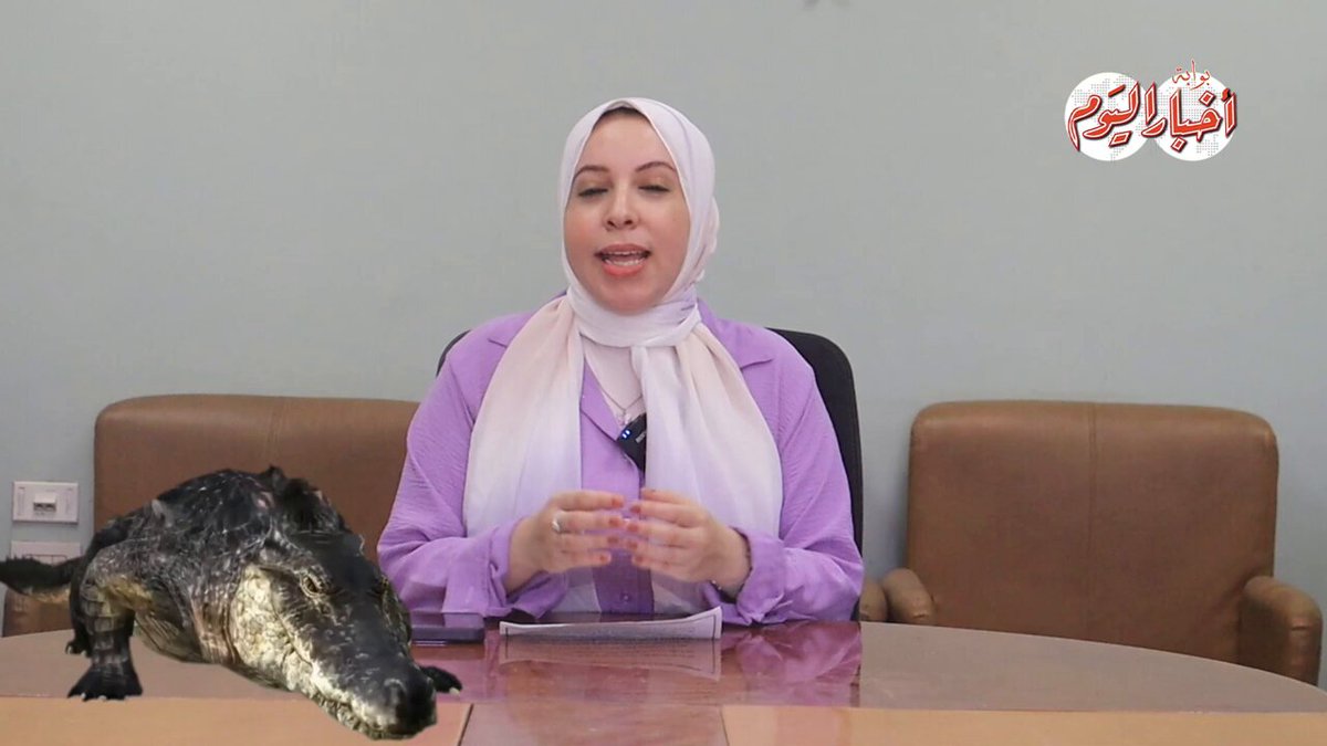 القصة وما فيها | حكاية التمساح اللي صحّى سكان حدائق الأهرام من النوم! #بوابة_أخبار_اليوم 