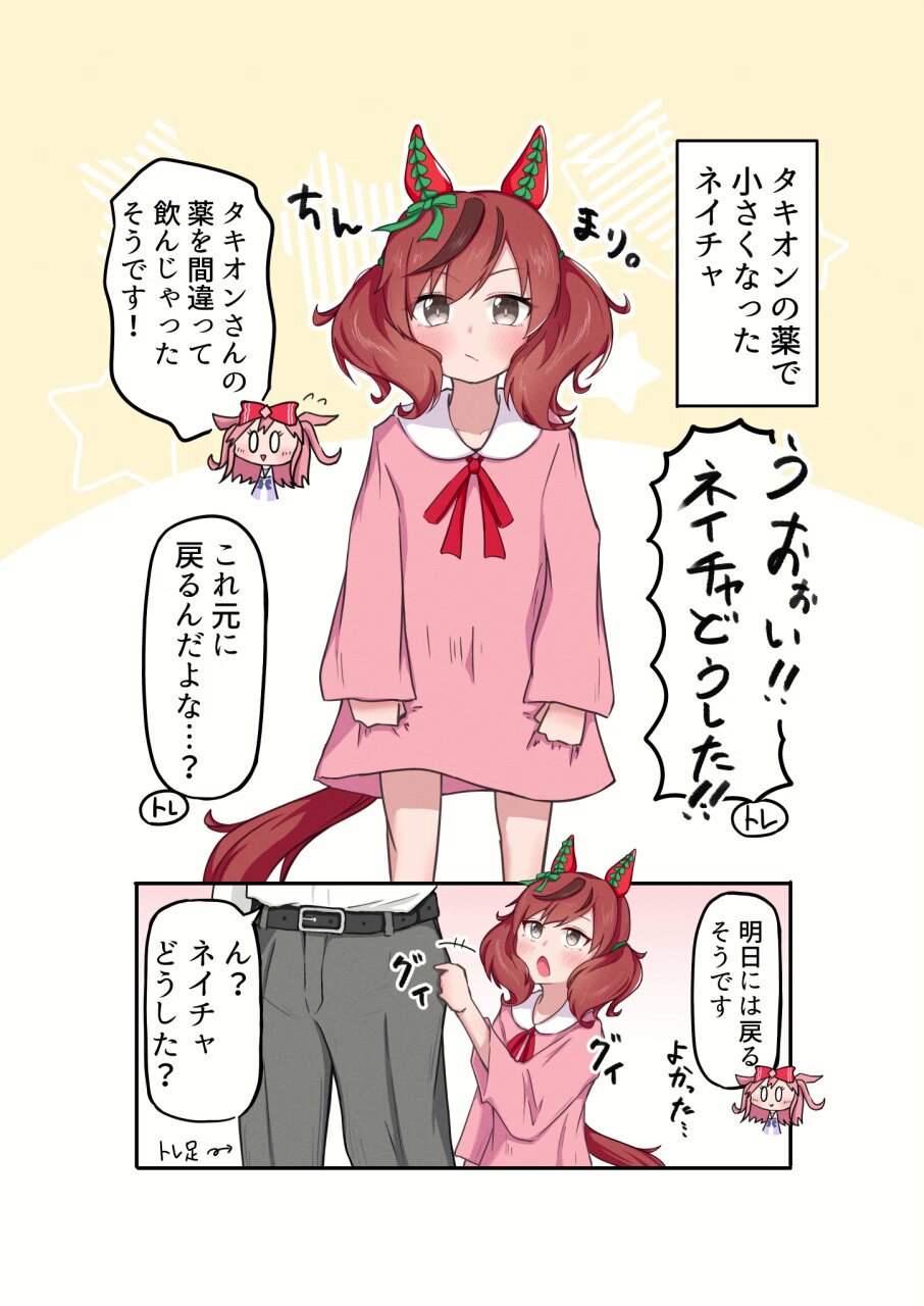 鍋たぬき🍩 (@Tanuki_Touka) / X