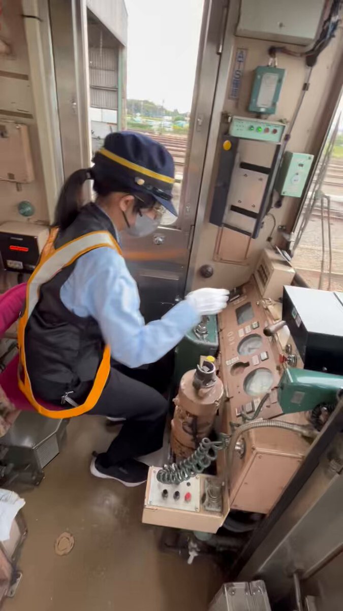 3103(おまっちゃらて子)様ご相談ページ Amazon.co.jp: おでかけ子ザメ まちがいさがし : ペンギン