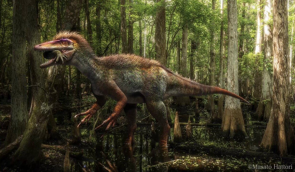 服部雅人 Masato Hattori (@dgdt2425) / Posts / X