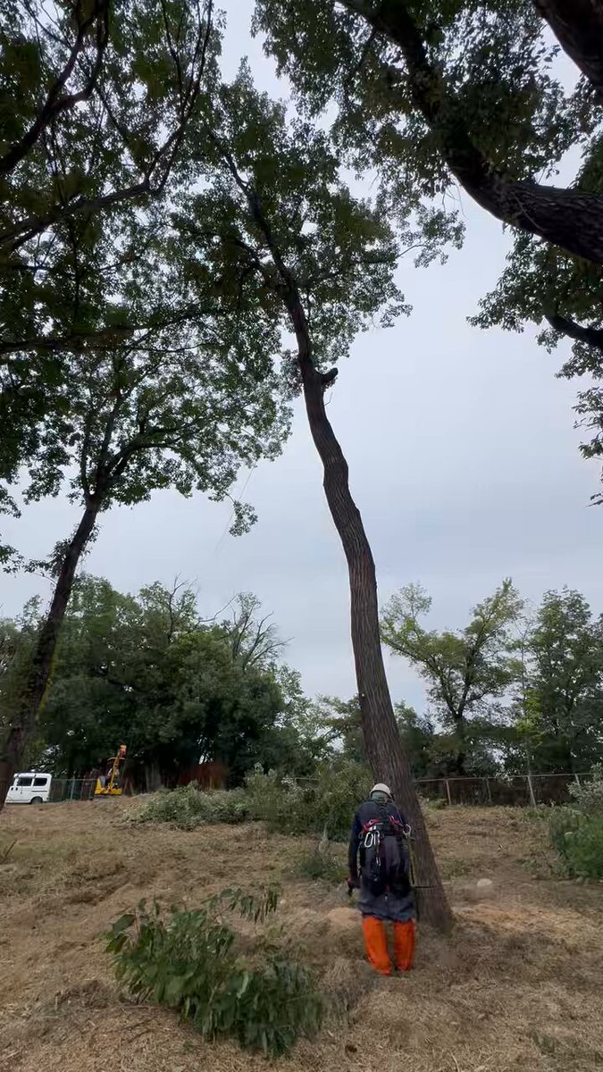 じゅんや (@junya77331) / X