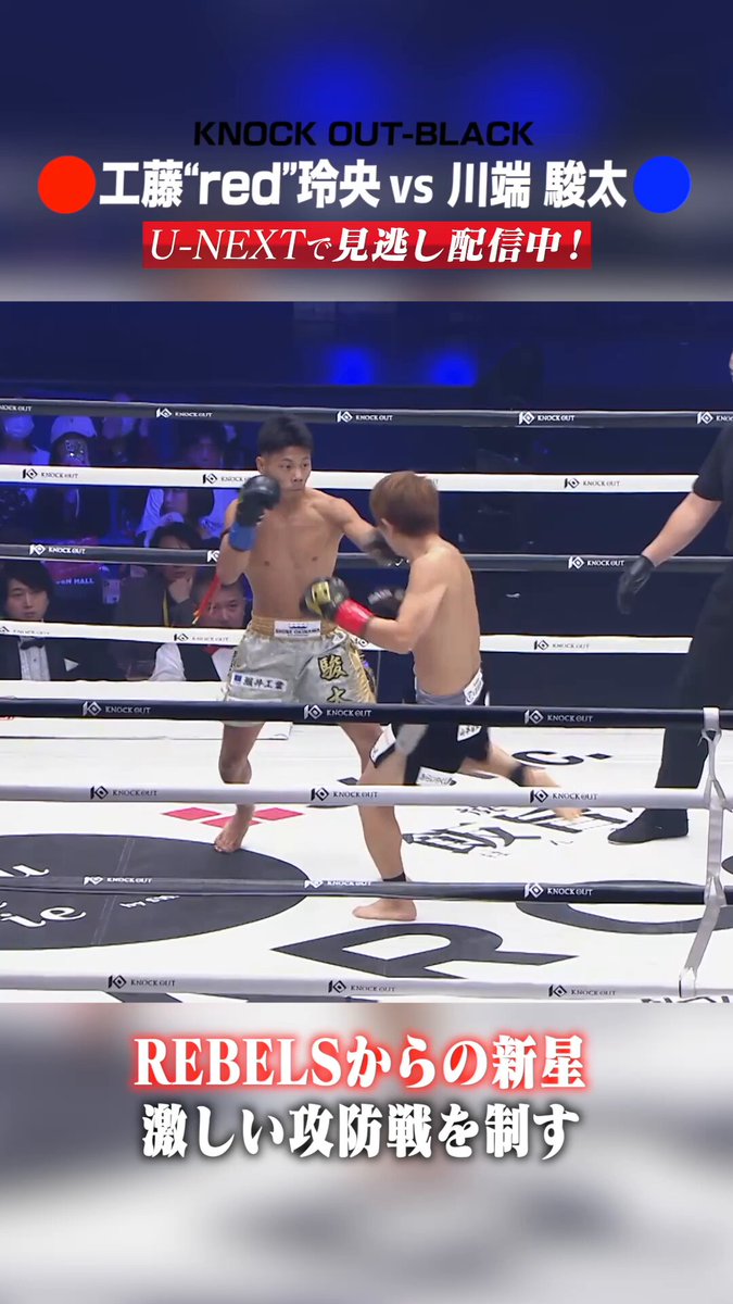 丸*子様 ダーレン・ラヴ　カッコいい子が見つかった／プレイング・フォー・キープス SHALLEN WX monoblock | KYOHO