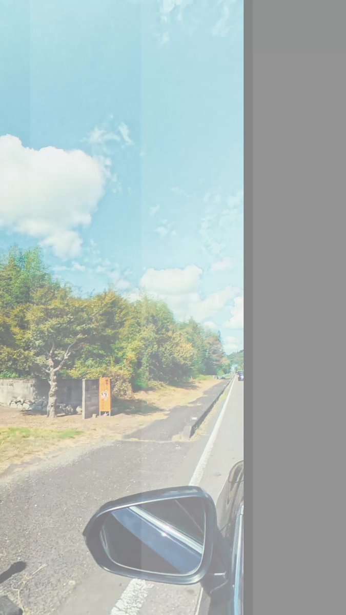 d*4様 アナタシア芝健まとめ売り アー写没った集🌱🥺 個人、全体アー写では絶妙に写ってなかった