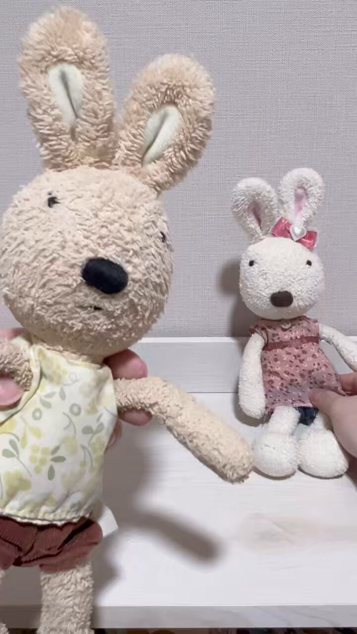 うさぎのルシュクル ぬいぐるみ 18 le Sucre ルシュクル ぬいぐるみ うさぎ セット - メルカリ