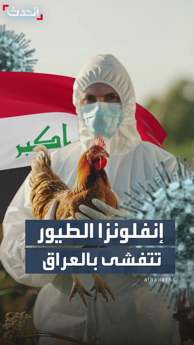 المرض أدى لنفوق 12 ألف طائر.. منظمة الصحة العالمية تعلن أن العراق أبلغتها بتفشي إنفلونزا الطيور لديها #العراق 
