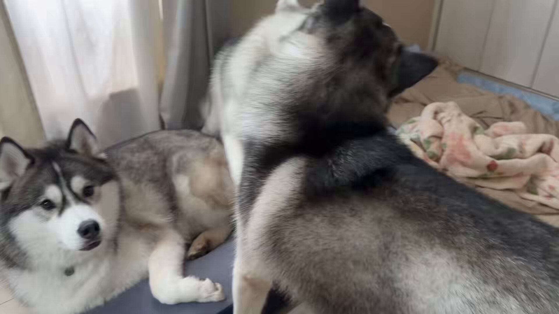 ジーニー☆さま専用ページ ディズニー ミラー・ウォリアーズ』【アクションフィギュア】7