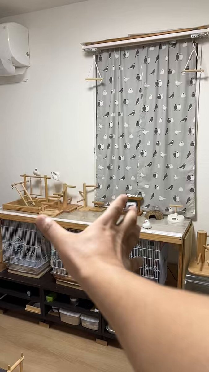 しげやん しげやん (@sige_yang) / X