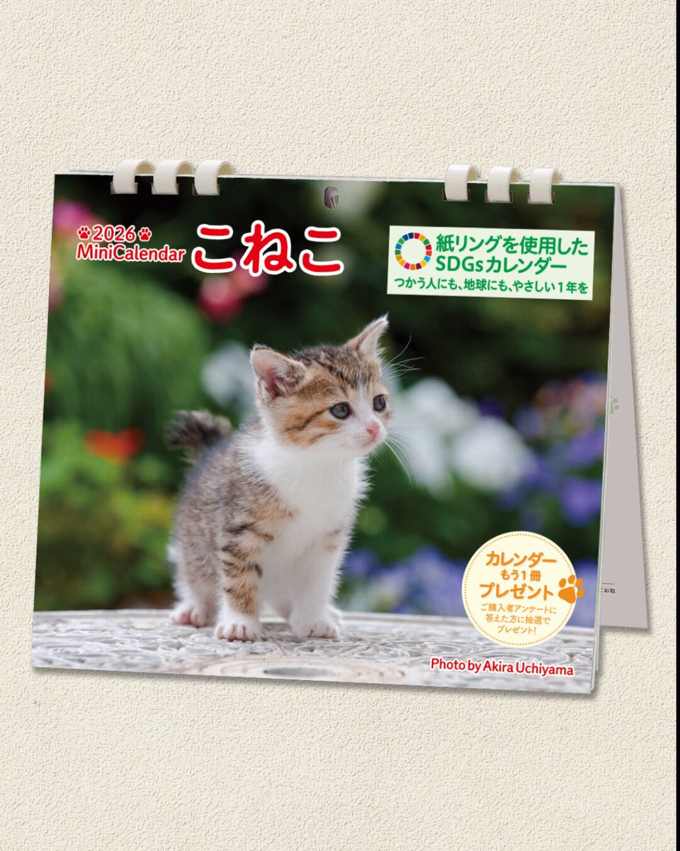 みなみちかこ (@373chikako) / Posts / X