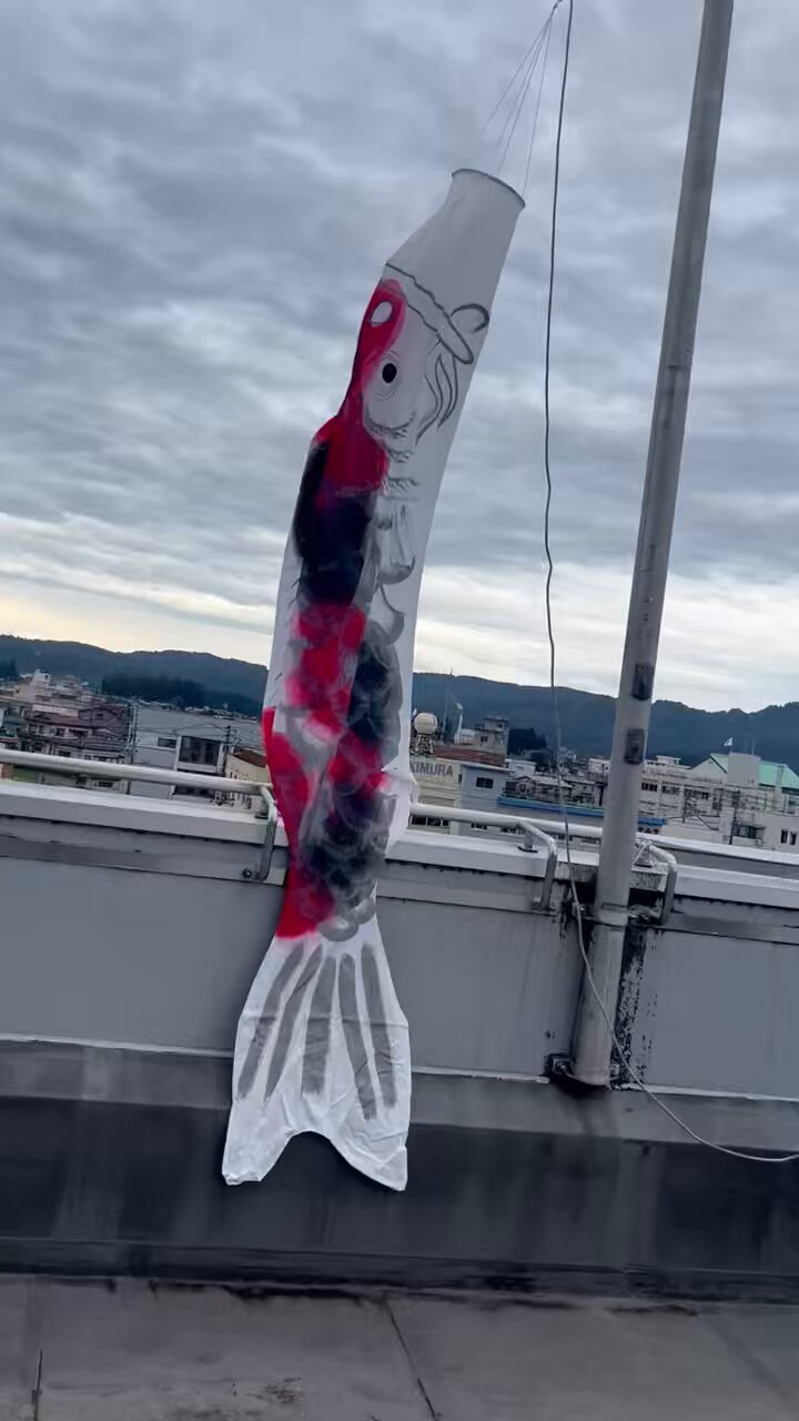 天空_鯉のぼり (@N10_tenku) / X