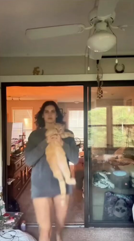 We don't deserve cats 😺 (@catsareblessing) on X