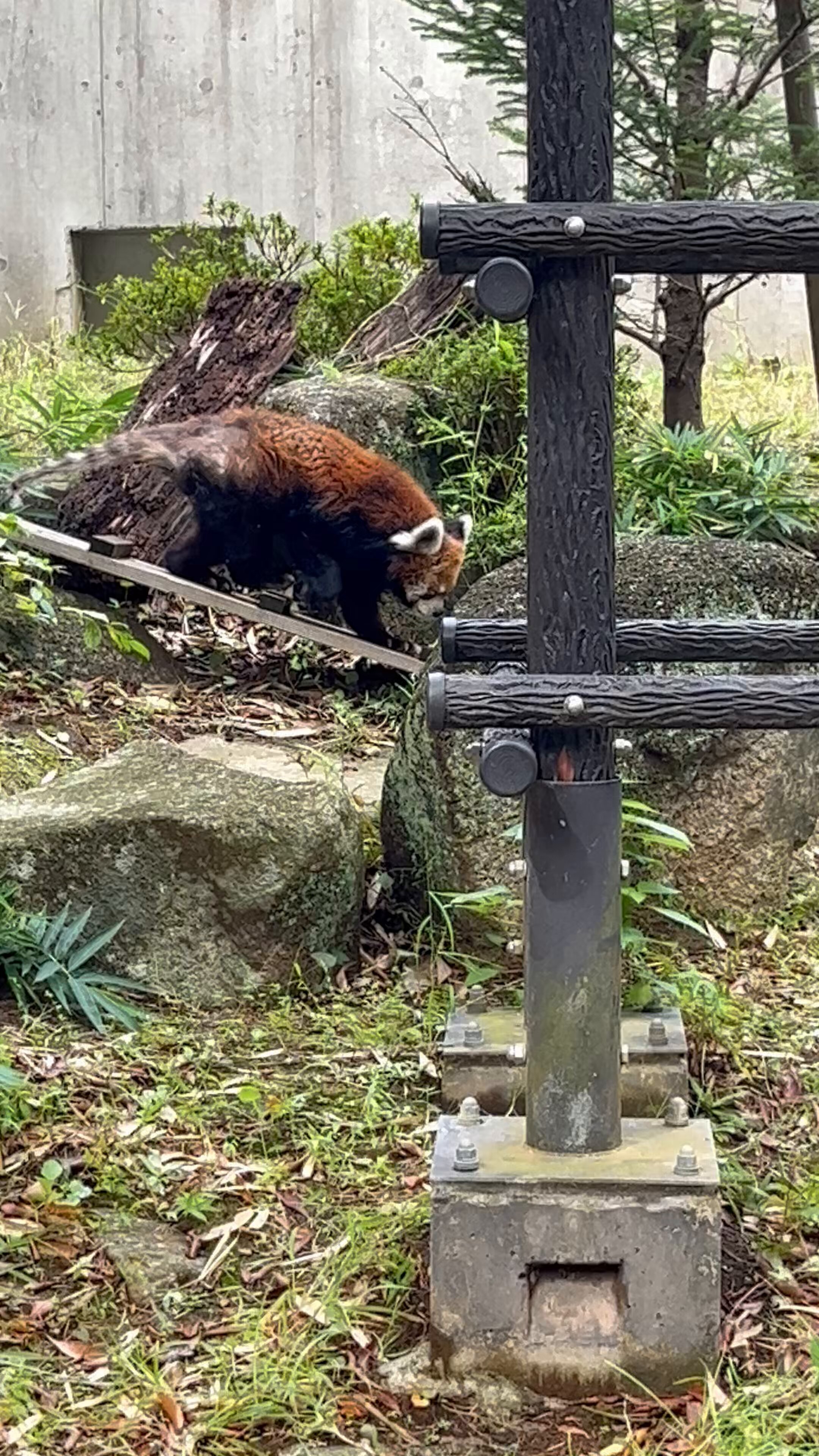 _こじろう_ on X: 