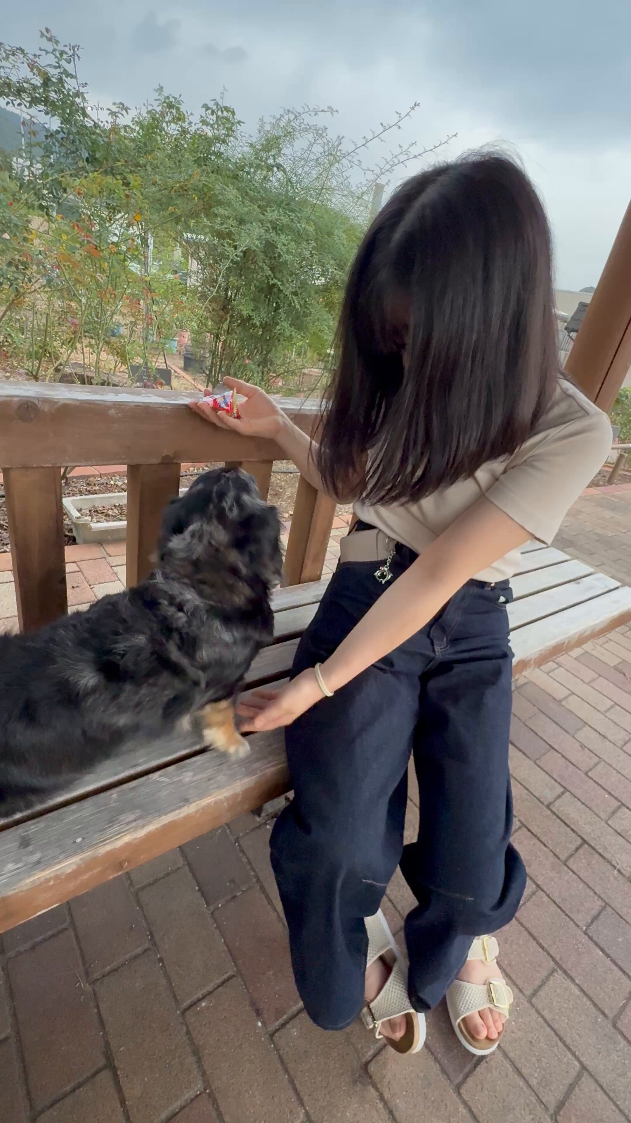 もやしページ もやし(◝ ᴗ ◜)₰₁₂𝓡🐶🏍🚗 (@moyashi_ZX12R) / X