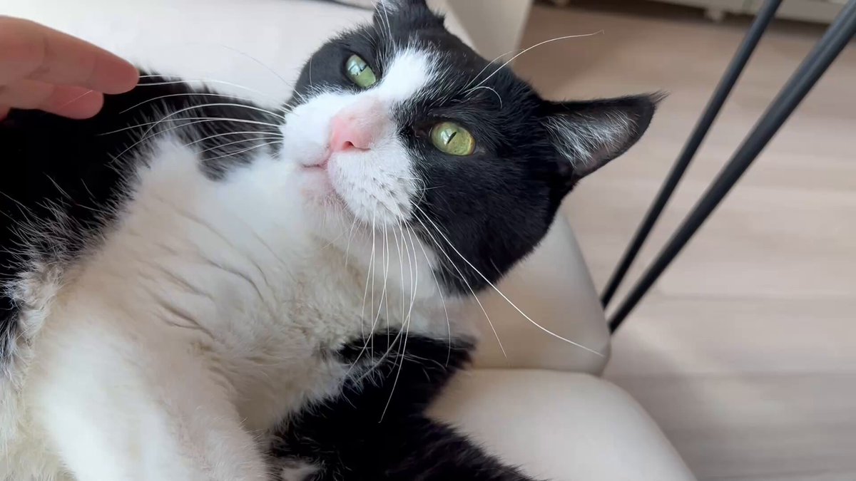 FAV | akiki⏩ (@akikiwww) / Posts / X