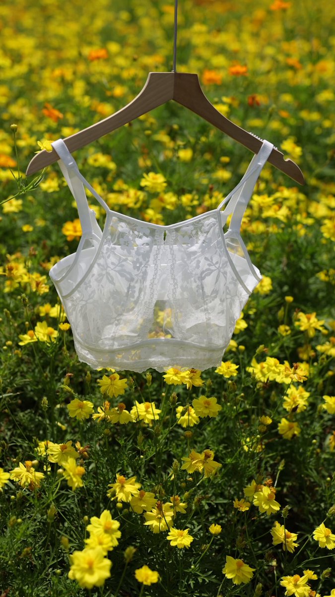 ヴェーミア: VEIMIA【公式】 on X