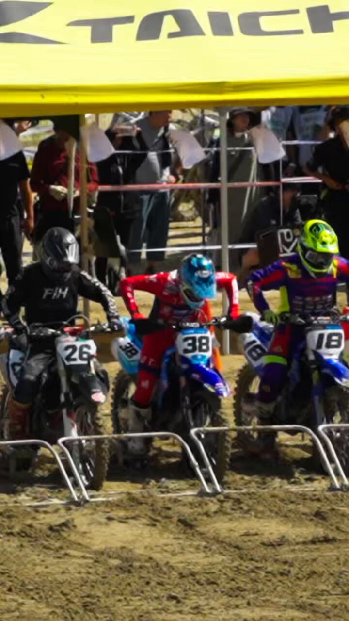 ❌8/31出品終了❌ X（旧Twitter）で話題のおもしろ画像や動画 - Yahoo