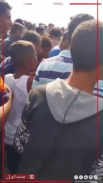 طولها 10 أمتار.. أهالى غزة يصطادون سمكة وزنها قرابة 2 طن على شاطئ خان يونس 