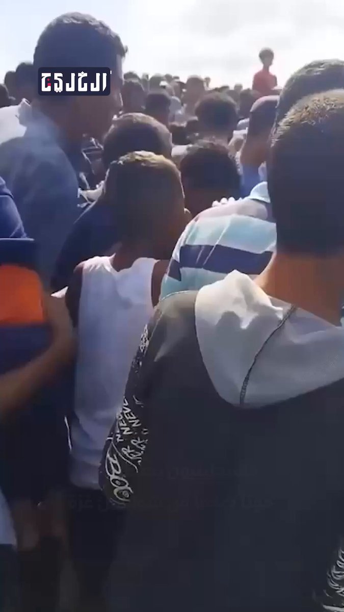 فيديو | فلسطينيون يصطادون حوتاً ضخماً من شواطئ #غزة 