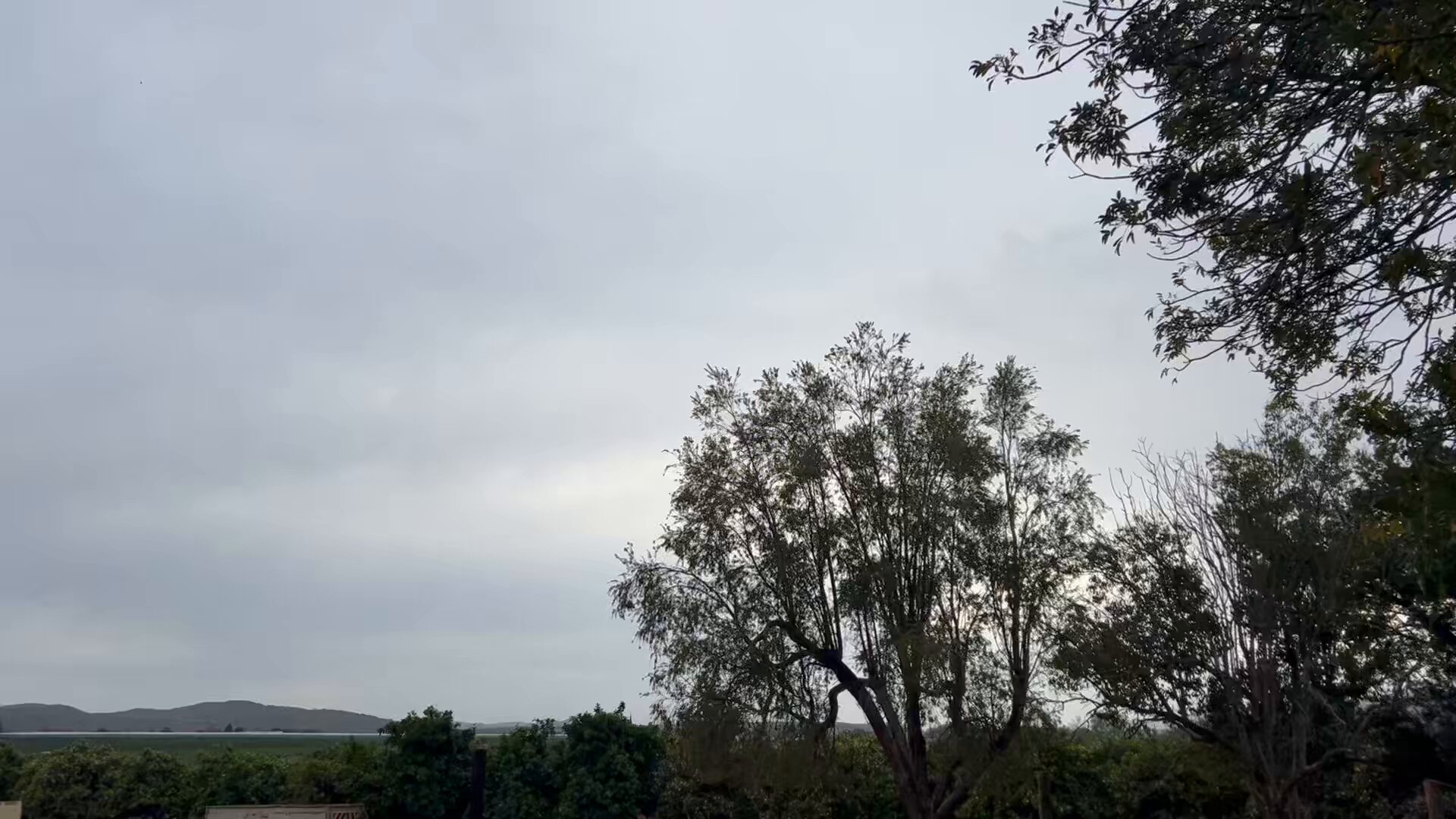 【【❤︎Anela❤︎】】  Swipe >>> Throwback to our bride Sawini looking absolutely