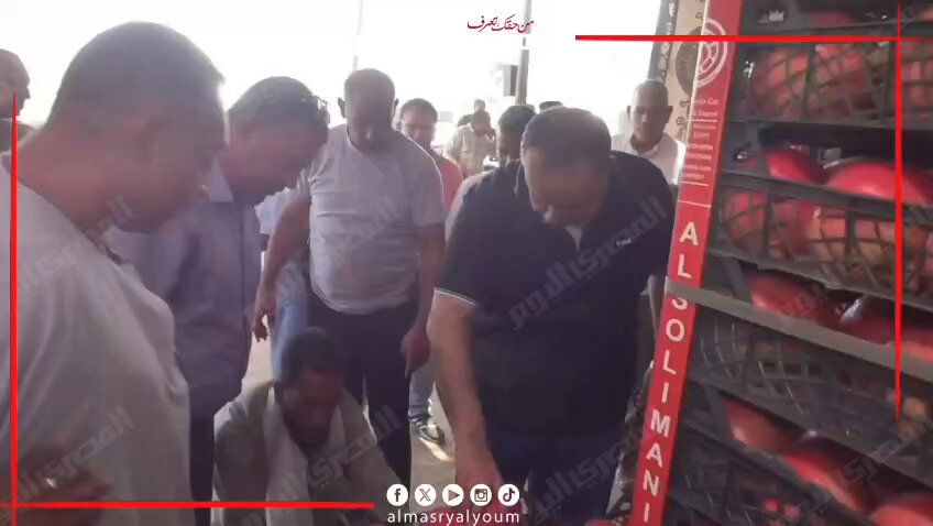 محافظ أسيوط يتابع منظومة تجهيز وتصدير الرمان «الذهب الأحمر» بقرية بويط بساحل سليم. تصوير: مدحت عرابي 