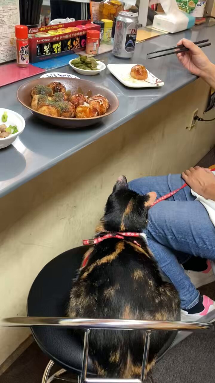 ぴーちゃん (@pychann1112) / X