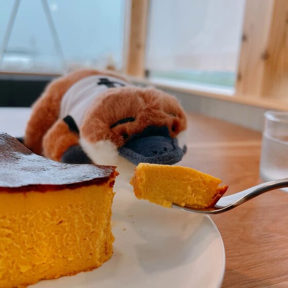 🏀 𝐄𝐄𝐄 on X