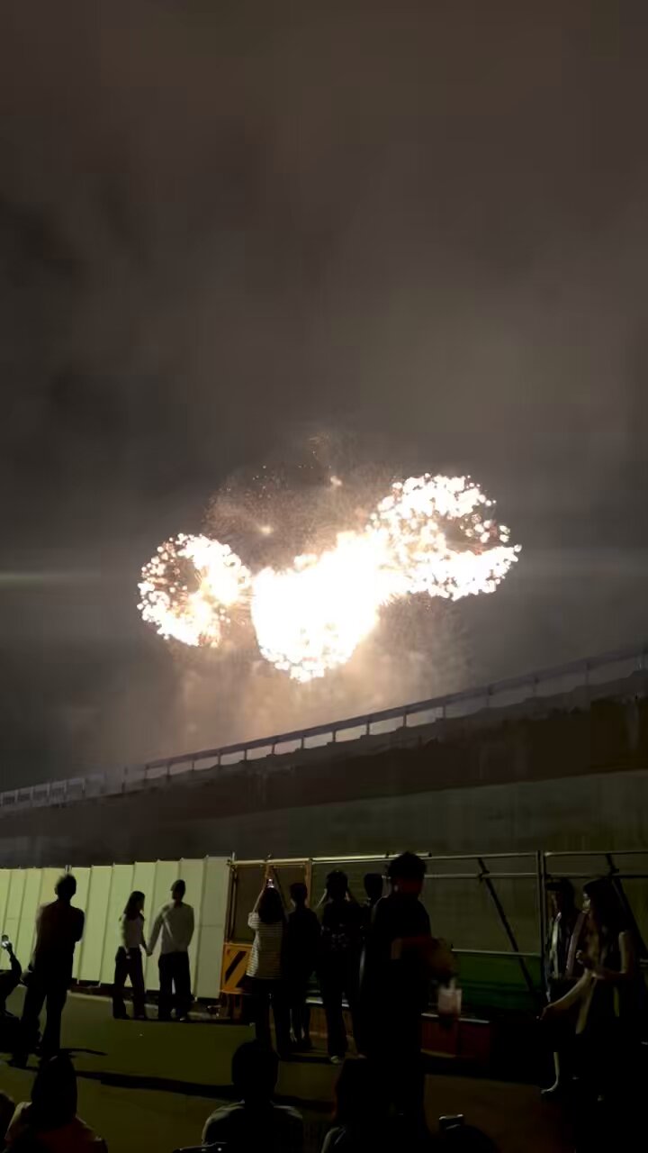 花火＊無言可 長岡花火行きたかったなぁー これは3年前の正三尺玉で上がった千輪菊