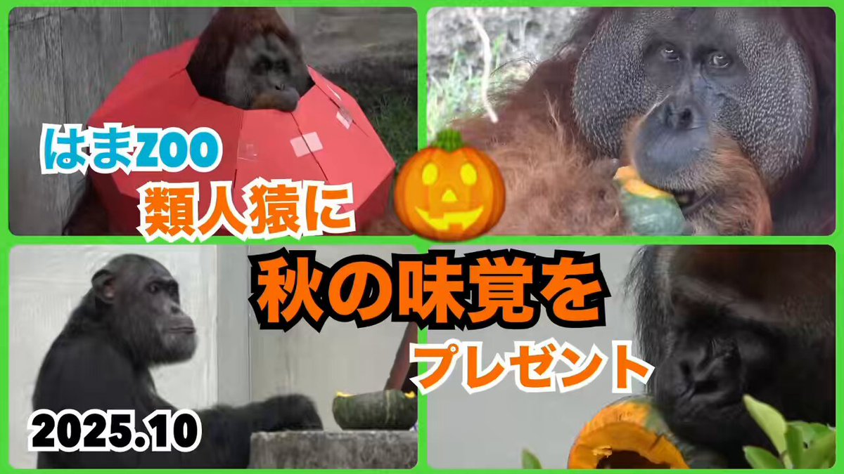 Miki (@mickey44mickey) / Posts / X