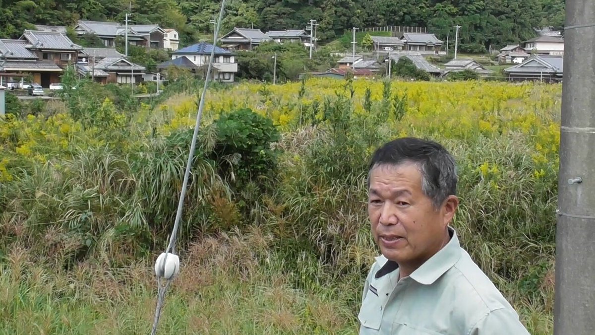 シードラスShoko Nakazawa（管理No.R2⑧） Shoko Nakazawa (@koratwerk) / Posts / X