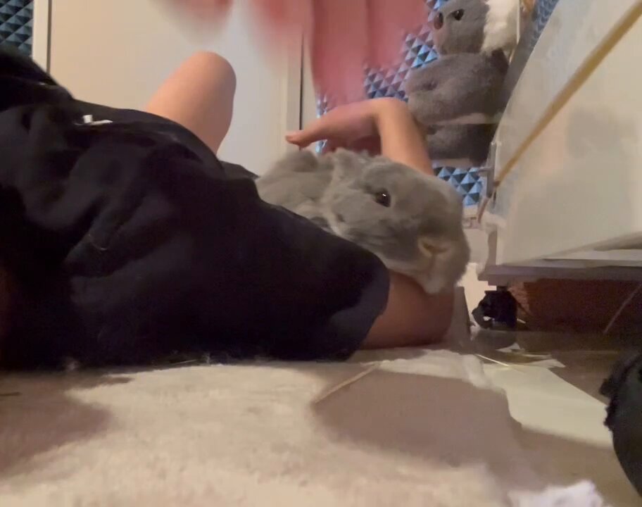 うさぎのちょり on X