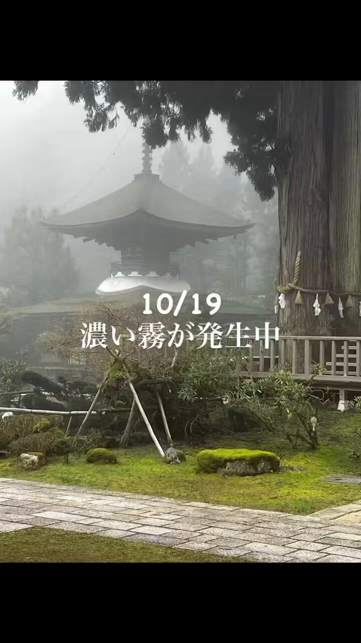 高野山　東塔　エッチング Driving Rain at Shōno, from Fifty-Three Stations of the