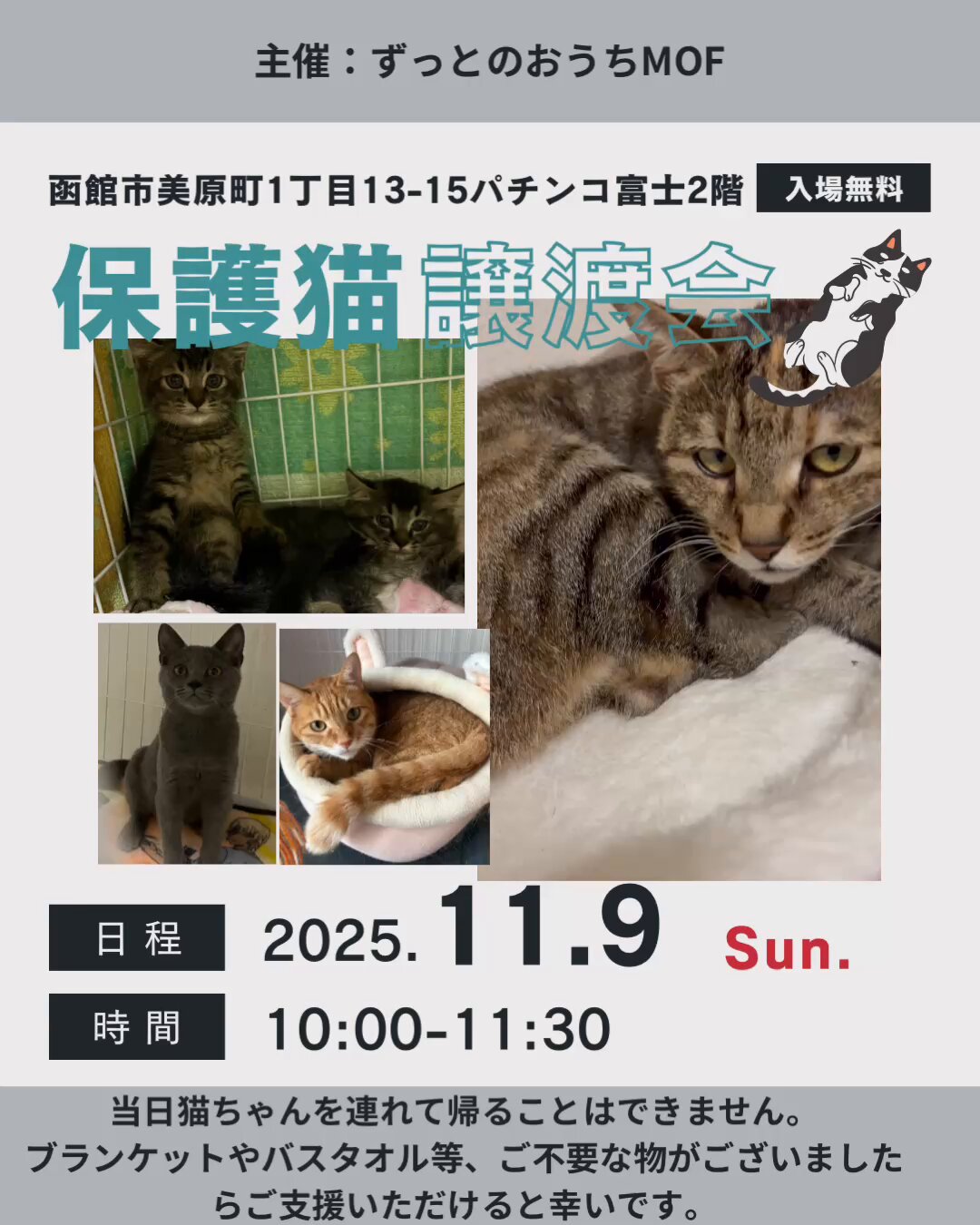 【 MCMC猫9月6日夜〜出品再開予定 】長風渡 𓃠10/26譲渡会出場にゃんず紹介7 【👦こぐま♂ @府中納屋っこ