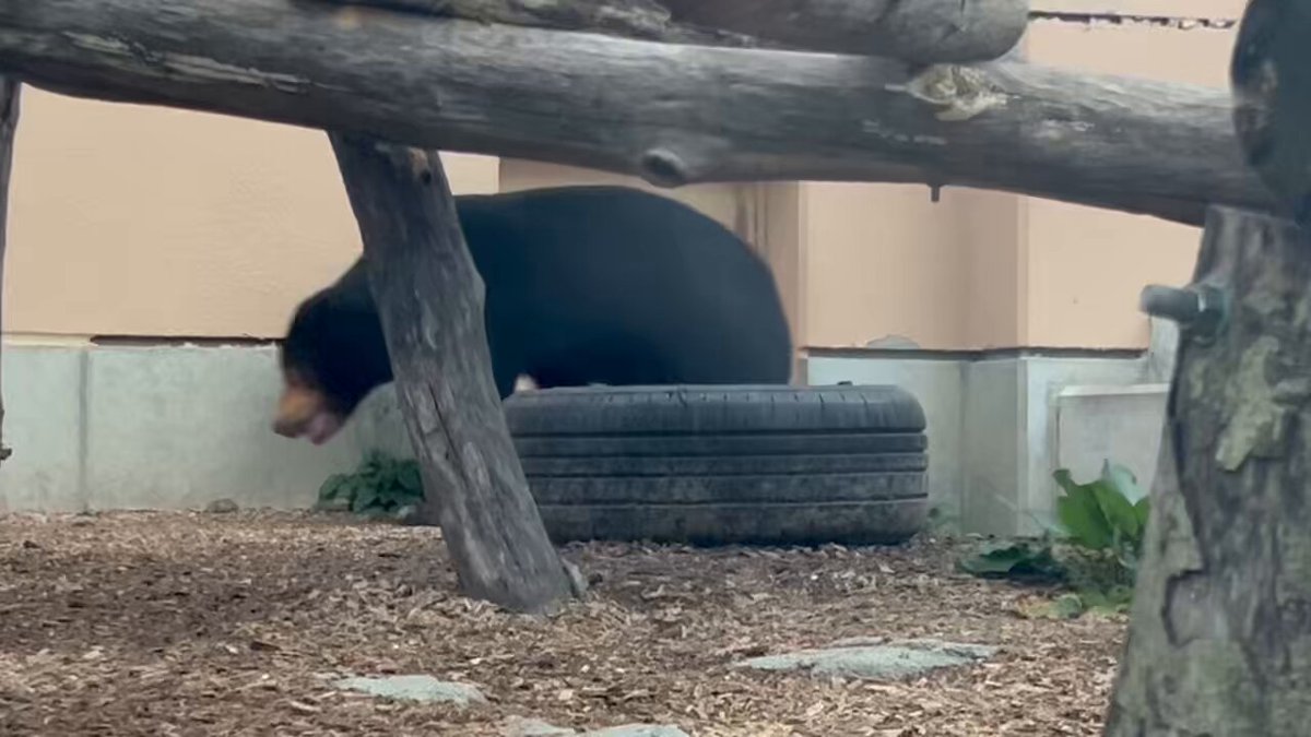 たらこページ みたらこ (@3tara5) / X