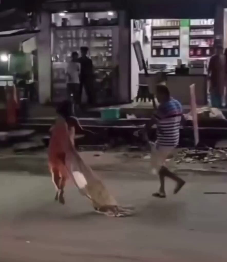 Video by @qsfkbwIhuWLhnjI