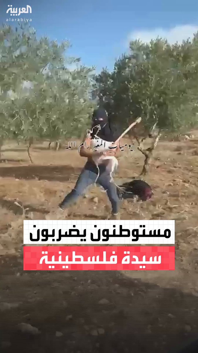 فيديو التقطه متضامن أجنبي يظهر اعتداء المستوطنين بالضرب المبرح على سيدة فلسطينية أثناء قطف الزيتون في بلدة المغير برام الله #الضفة_الغربية 