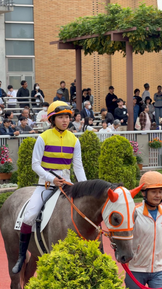 チ*ム様 地方競馬 LADIES JOCKEYS サイン入りジャケット M 2025年最新