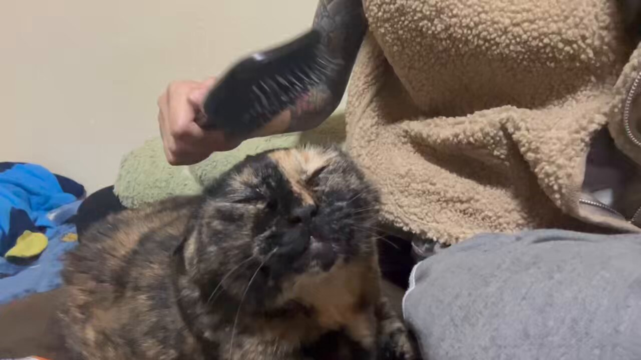 おみぃ子 (@mii19940705mii) / X