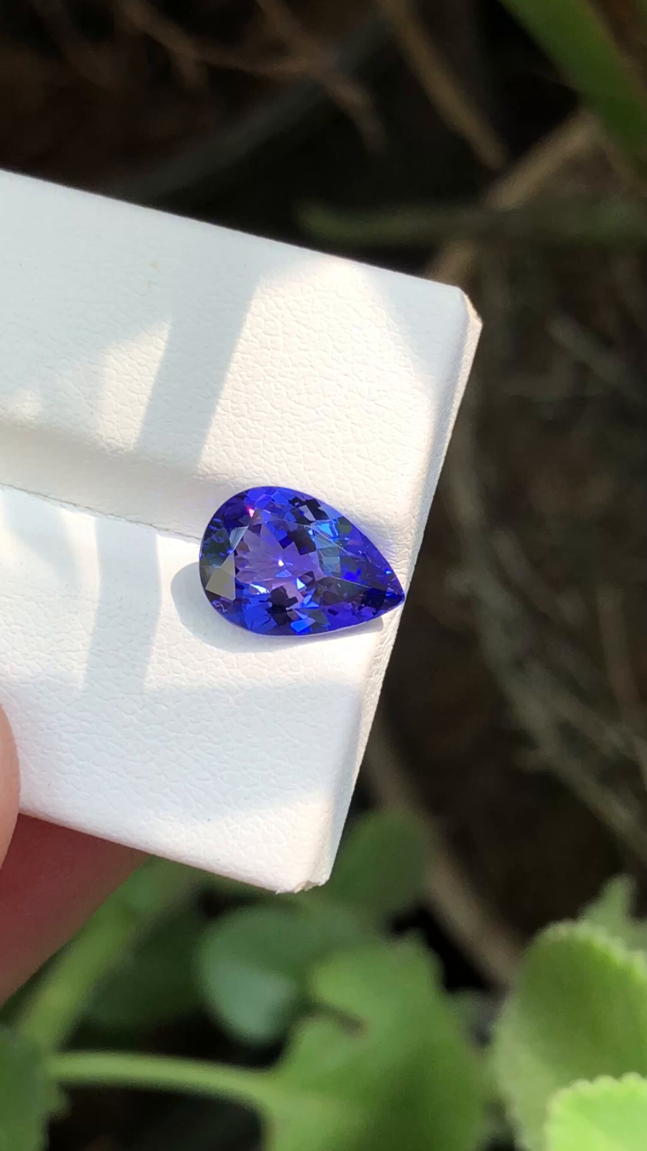 タンザニア　サザナミゴライアス　かゴライアス　約58mm 82mm タンザニア サザナミゴライアス かゴライアス 約58mm 82mm