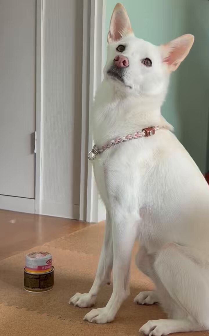 Video oleh @anon-user