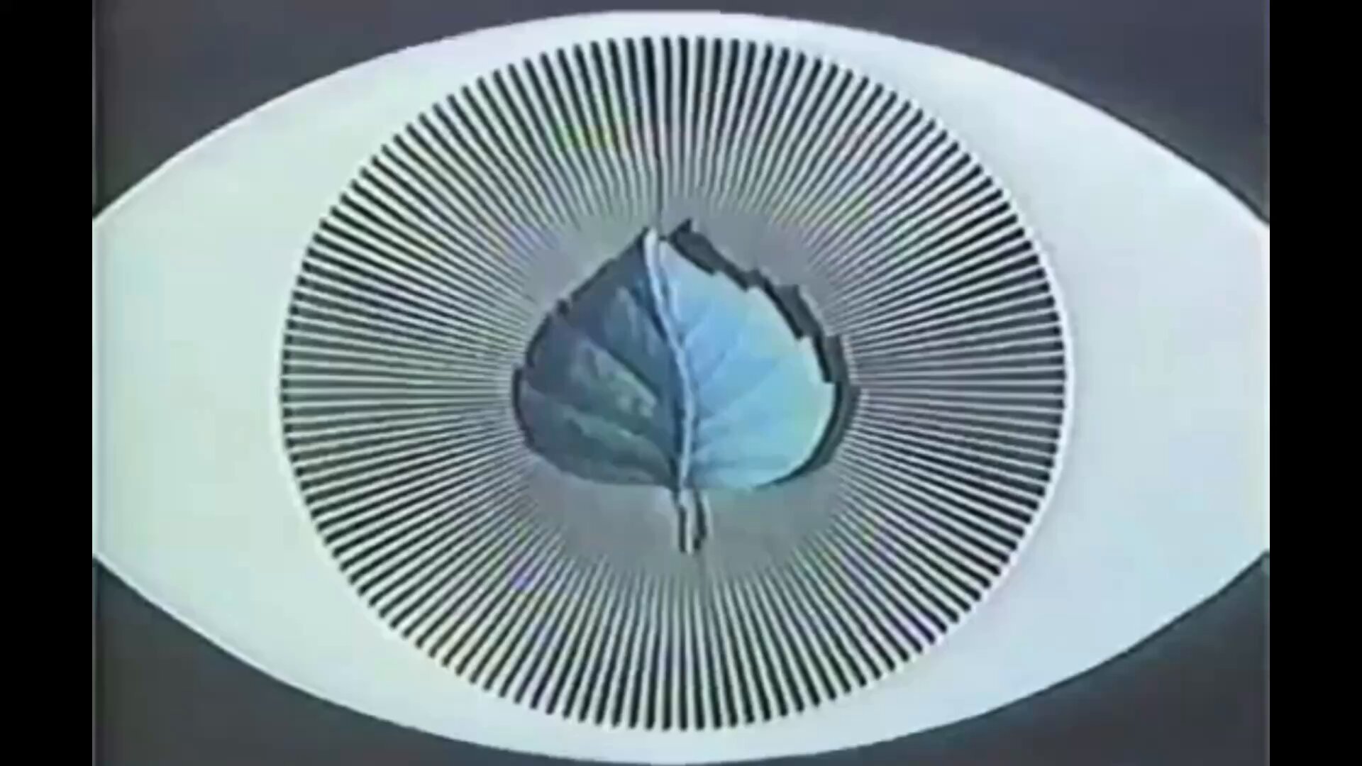 Koji Nakamura ナカコー on X: 