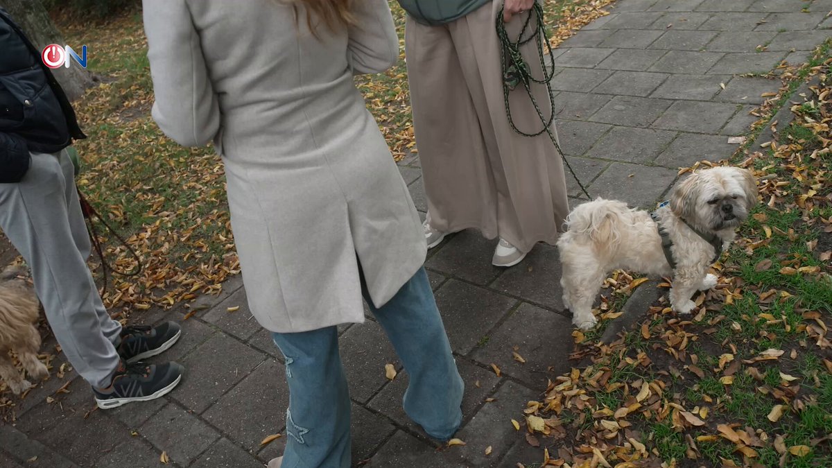 Fatbike-jongeren terroriseren Raamsdonksveer, noodverordening van kracht