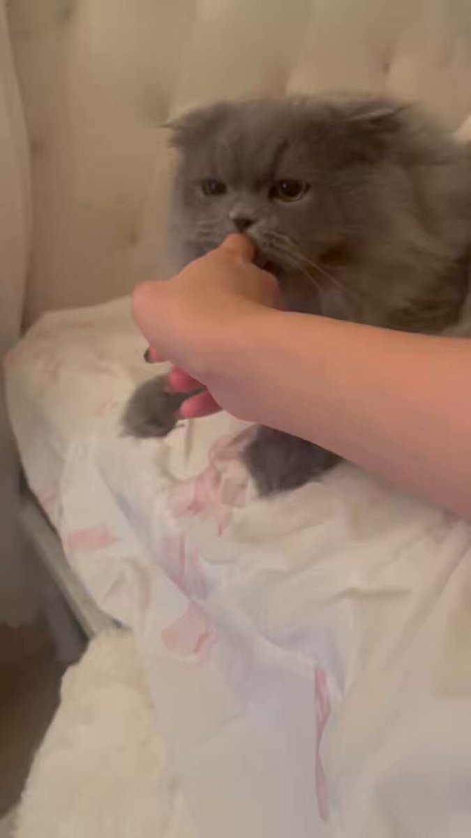 ☆特選ご奉仕☆白鳥&水晶♡浄化スペシャル☆【白鳥『スワン』型