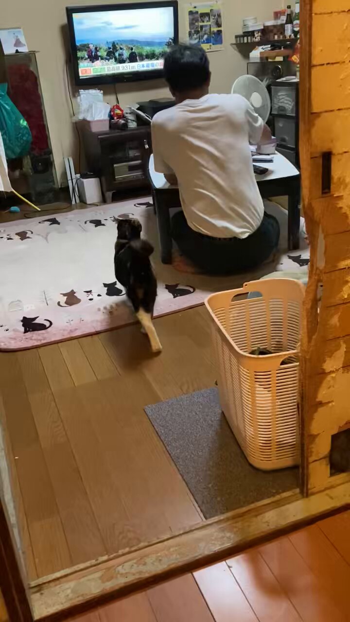 ぴーちゃん (@pychann1112) / X