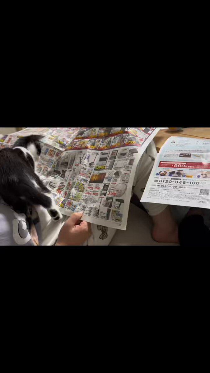 もじもじこです moji mojico (@moji_mojico) / Posts / X